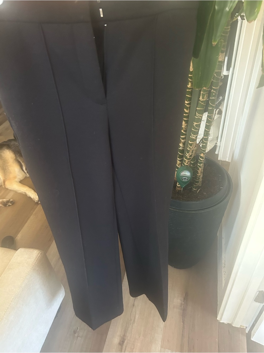 Ann Taylor Black Women's Tailored Pants
